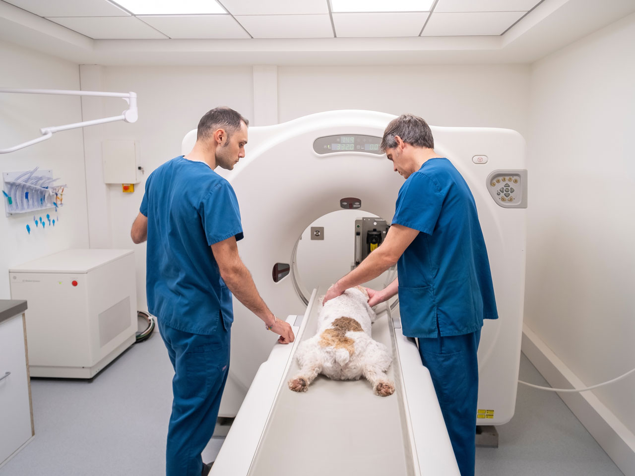 img-veterinarians-01a